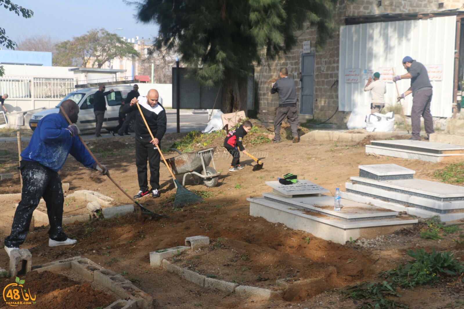 taso 23 tendedf (3).jpg